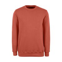 پلیور مردانه باینت کد 585-2